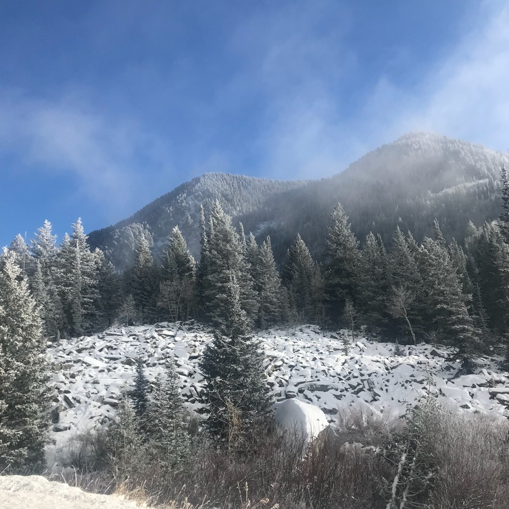 Meet your Posher, Leah